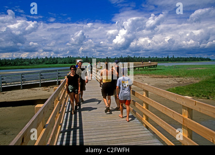 Les gens, les touristes, sentier de la promenade, le parc national de Kouchibouguac, près de, Richibucto, Nouveau-Brunswick La province, Canada Banque D'Images