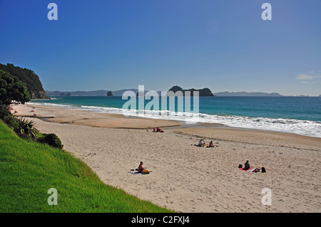 Plage de Hahei, Hahei, péninsule de Coromandel, de la région de Waikato, Nouvelle-Zélande, île du Nord Banque D'Images