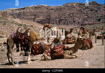 Petra en Jordanie Banque D'Images