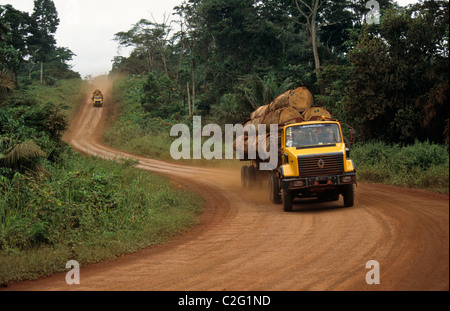 Province de l'Ouest l'exploitation forestière au Cameroun Banque D'Images