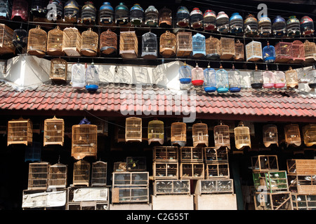 Marché aux oiseaux de Pramuka, Jakarta, Indonésie, Mars 2011 Banque D'Images