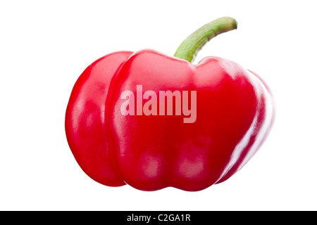 Poivron rouge doux isolées (Capsicum annuum) sur fond blanc. Banque D'Images