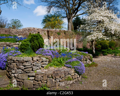 Rocaille dans le parc de Whalley Abbey, Whalley,Clitheroe Lancashire,, Angleterre, Royaume-Uni. Banque D'Images