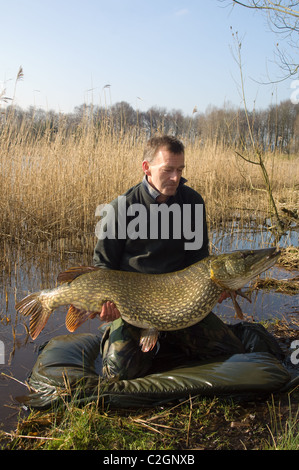 Fisherman holding grande femelle brochet capturé à Wykeham Lakes, North Yorkshire, UK Banque D'Images
