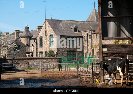 La ferme laitière à la Mount St Bernard, près de l'abbaye Whitwick dans le Leicestershire, Angleterre, Royaume-Uni Banque D'Images