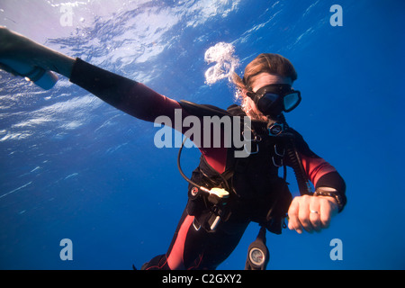 En plongée d'English Harbour, Antigua. Un plongeur effectue un arrêt de sécurité à la fin d'une plongée. Banque D'Images