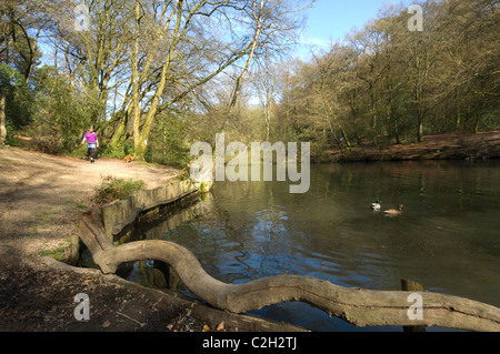 Puits de Waggoners Grayshott Hampshire UK Banque D'Images