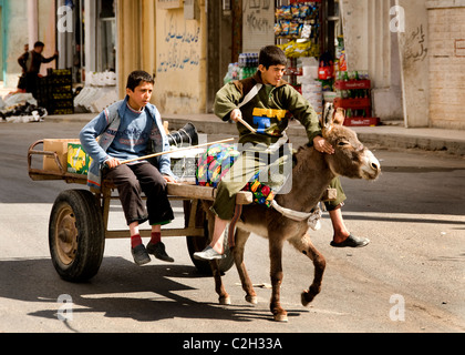 Palmyre ville Nouvelle ville syrienne Syrie Jeune garçon garçons ânes location Banque D'Images