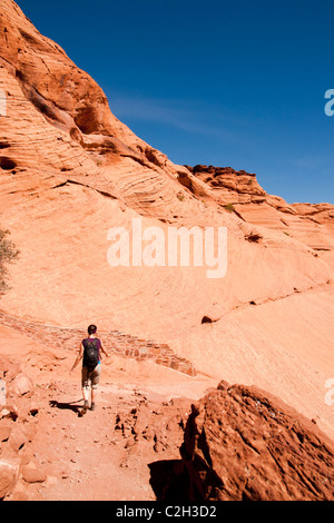 Canyon de Chelly National Monument. Chinle, Arizona, United States. Banque D'Images