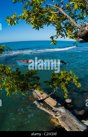 Bateau de pêche ancré dans la baie des Français à Treasure Beach, avec un quai de fortune et l'arbre en premier plan, St Elizabeth, Jamaïque Banque D'Images