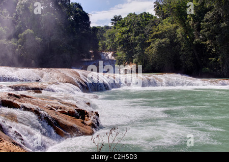 Les chutes d'Agua Azul au Chiapas, Mexique Banque D'Images