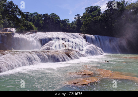 Les chutes d'Agua Azul au Chiapas, Mexique Banque D'Images