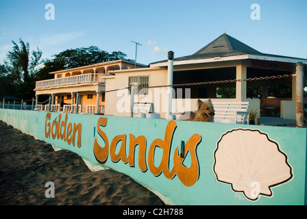 Chien à la plage de Golden Sands Resort Frenchmans Bay sur Treasure Beach, St Elizabeth, Jamaïque. Banque D'Images
