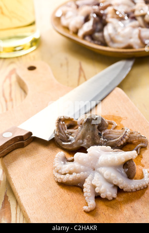 Poulpe bébé sur une table de cuisine Banque D'Images