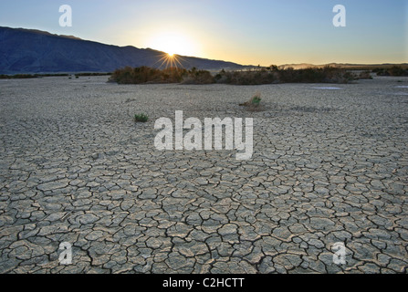 Clark Dry Lake situé dans la région de Anza Borrego Desert State Park en Californie. Banque D'Images