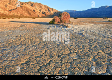 Clark Dry Lake situé dans la région de Anza Borrego Desert State Park en Californie. Banque D'Images