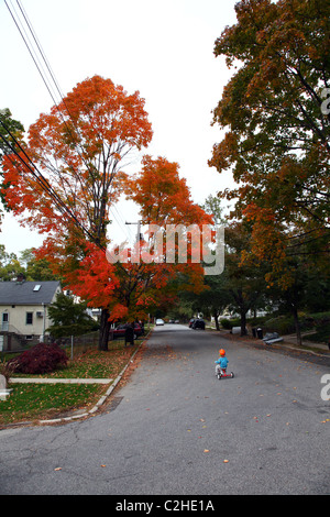 Little Boy riding un tricycle dans une rue de banlieue à l'automne Banque D'Images