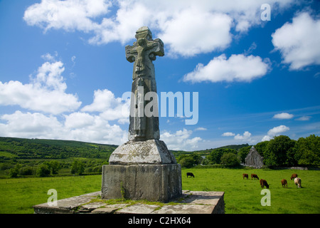 Le pâturage du bétail près de St Tola's High Cross, Dysert O'Dea Monastère, comté de Clare, Irlande. Banque D'Images