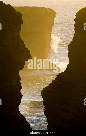 Coucher du soleil illumine un abîme dans l'Atlantique près de falaises de Loop Head, dans le comté de Clare, Irlande. Banque D'Images