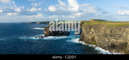 Les falaises de l'Atlantique et le littoral près de Loop Head, Comté de Clare, Irlande. Banque D'Images
