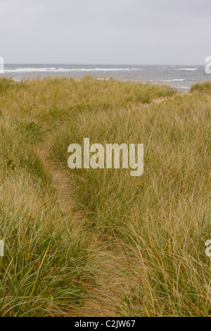 Sentier pédestre menant à travers les hautes herbes de la mer, Prince Edward Island National Park, Prince Edward Island, Canada Banque D'Images