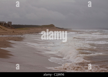 Les disjoncteurs et plage balayés par le sentier des dunes de Cavendish, Prince Edward Island National Park, Prince Edward Island, Canada Banque D'Images