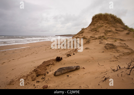 Plage déserte le long sentier des dunes de Cavendish, Prince Edward Island National Park, Prince Edward Island, Canada Banque D'Images