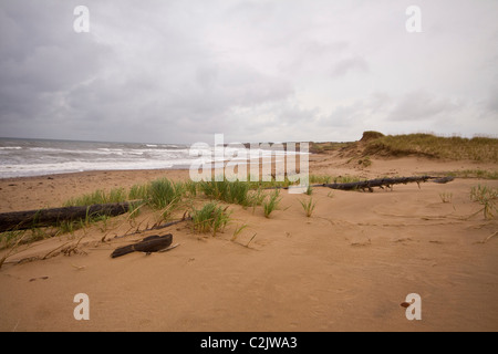 Plage le long sentier des dunes de Cavendish, parc national de l'île, sur la rive nord de l'Île du Prince Édouard, Canada Banque D'Images