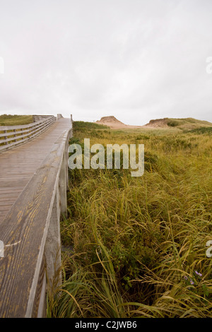 Sentier des dunes de Cavendish, Promenade Parc National de l'île, sur la rive nord de l'Île du Prince Édouard, Canada Banque D'Images