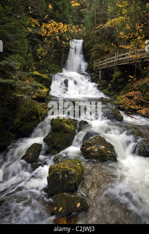 Belles chutes Dickson, Le Parc National de Fundy, Nouveau-Brunswick, Canada Banque D'Images