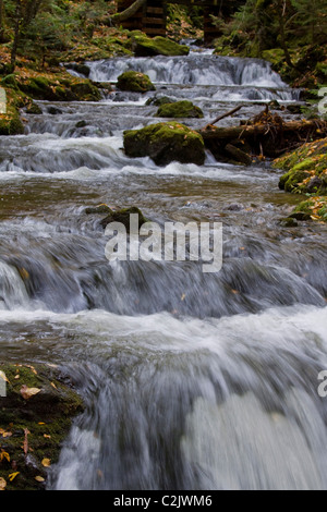 Belle brook à Dickson Falls, parc national de Fundy, Nouveau-Brunswick, Canada Banque D'Images