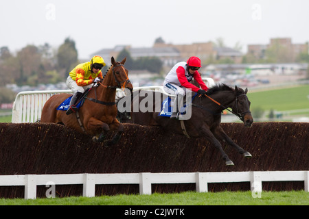 Poquelin dans le trophée d'argent Chase Masterson Holdings (Grade 2) Handicap limité - 13/4/2011 Banque D'Images