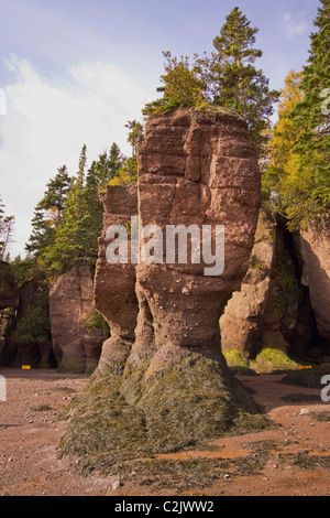 Pot de fleurs rochers à marée basse, les Rochers de Hopewell, dans la baie de Fundy, Nouveau-Brunswick, Canada Banque D'Images