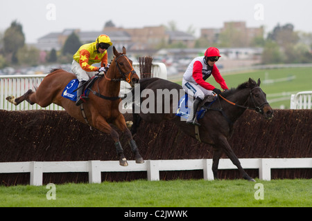 Poquelin dans le trophée d'argent Chase Masterson Holdings (Grade 2) Handicap limité - 13/4/2011 Banque D'Images