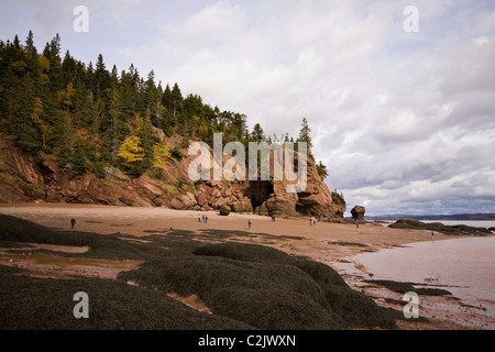 Les touristes de profiter de la plage à marée basse, les Rochers de Hopewell, dans la baie de Fundy, Nouveau-Brunswick, Canada Banque D'Images