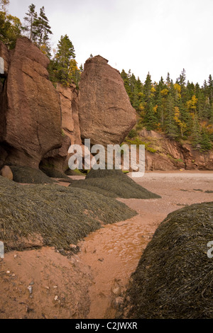 Des formations rocheuses intéressantes et boue rougeâtre, Hopewell Rocks, la baie de Fundy, Nouveau-Brunswick, Canada Banque D'Images