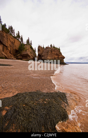 Plage rouge et rouge de l'eau boueuse à Hopewell Rocks, la baie de Fundy, Nouveau-Brunswick, Canada Banque D'Images