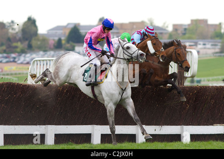 Sam Twiston-Davies sur battre les garçons dans l'Pyments Chartered Quantity Surveyors Handicap Chase 14/4/2011 Banque D'Images