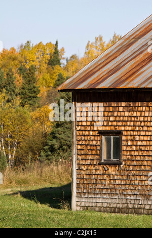 Ancienne grange avec Rusty Weathered tin roof, près de Campbelton, Nouveau-Brunswick, Canada Banque D'Images