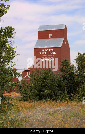 Un ancien élévateur à grain de Big Valley, en Alberta, Canada. Banque D'Images