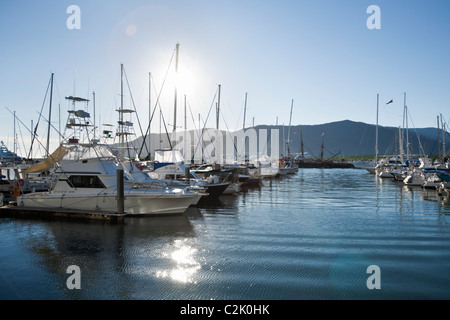 Bateaux amarrés dans le port de plaisance Marlin. Cairns, Queensland, Australie Banque D'Images