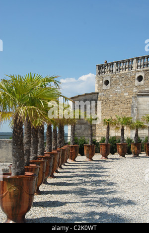 La terrasse du château de Grignan à Grignan, Drôme provençales, dans le sud de la France est décorée avec des pots de fleurs d'Anduze. Banque D'Images