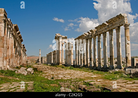 Apamea, Syrie, région, plaine de Ghab, constructeur, Seleucus i Nicator, 300 av. J.-C. , ville grecque et romaine. Cultures, hellénistique, romain, grec médiéval, Banque D'Images