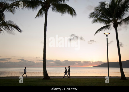 Tôt le matin, les promeneurs sur l'Esplanade. Cairns, Queensland, Australie Banque D'Images