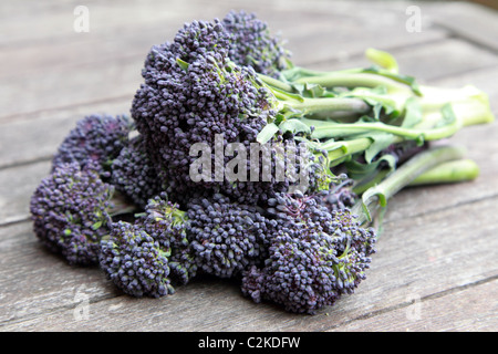 Un tas de Purple Sprouting broccoli brocolli Banque D'Images