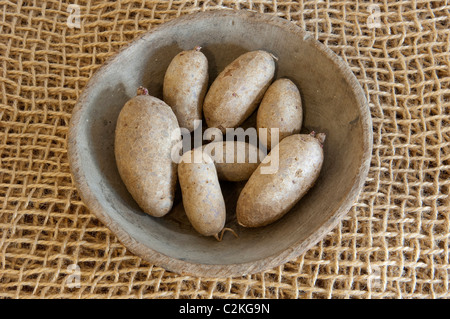 La pomme de terre (Solanum tuberosum), la variété : Highland Bourgogne Rouge. Pommes de terre un bol en bois. Banque D'Images