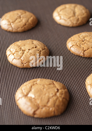 Les cookies au chocolat,le cacao,Sauvegarde,frais Banque D'Images