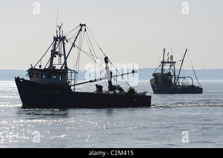 Mussel dragueurs travaillent à l'extérieur de la côte de Norfolk. Banque D'Images