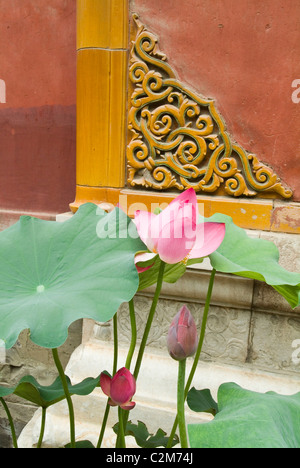 Détail de fleurs de lotus, la Cité Interdite / Palais Impérial, Pékin. Banque D'Images