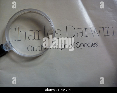 L'origine des espèces de Charles Darwin Banque D'Images